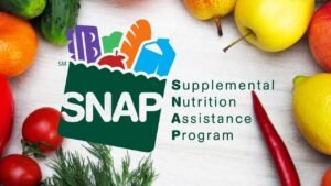 Millions Face Delays as SNAP November 2025 Payments Halted During Shutdown