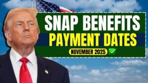 November 2025 SNAP Benefits — Payment Dates & Full Schedule